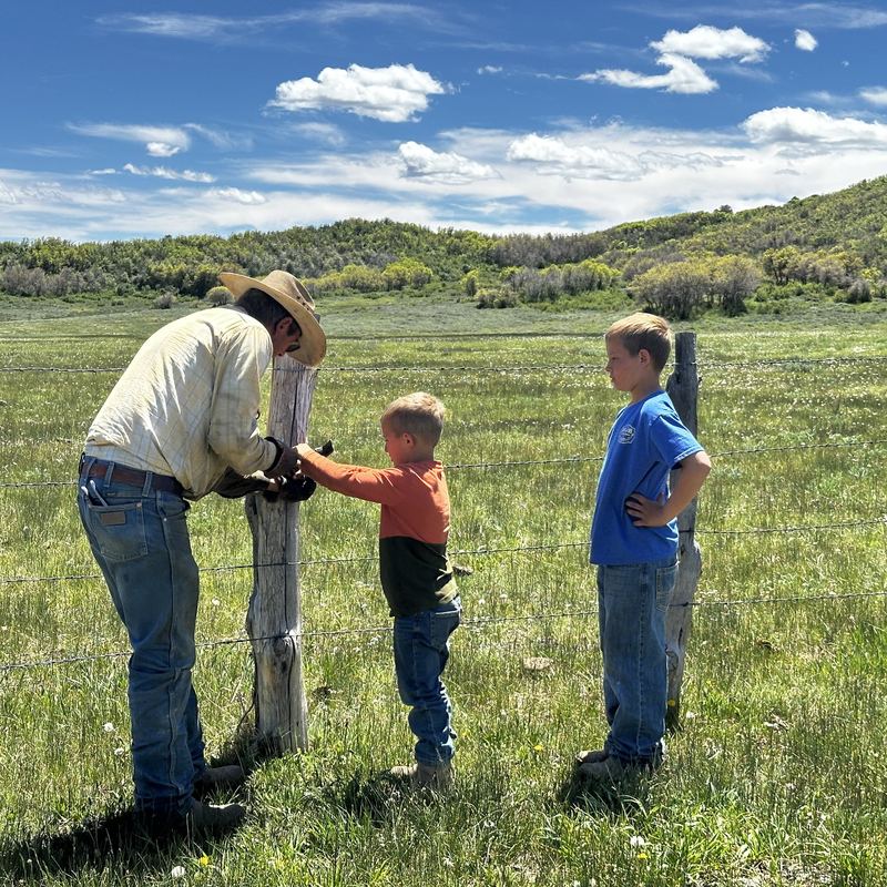 The next generation out at the fence line