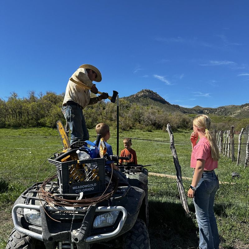 Fixing fence with the kids